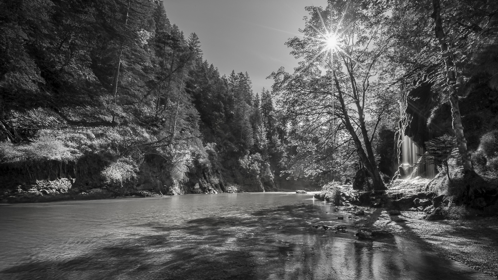 Platz 7 Anton Kienle